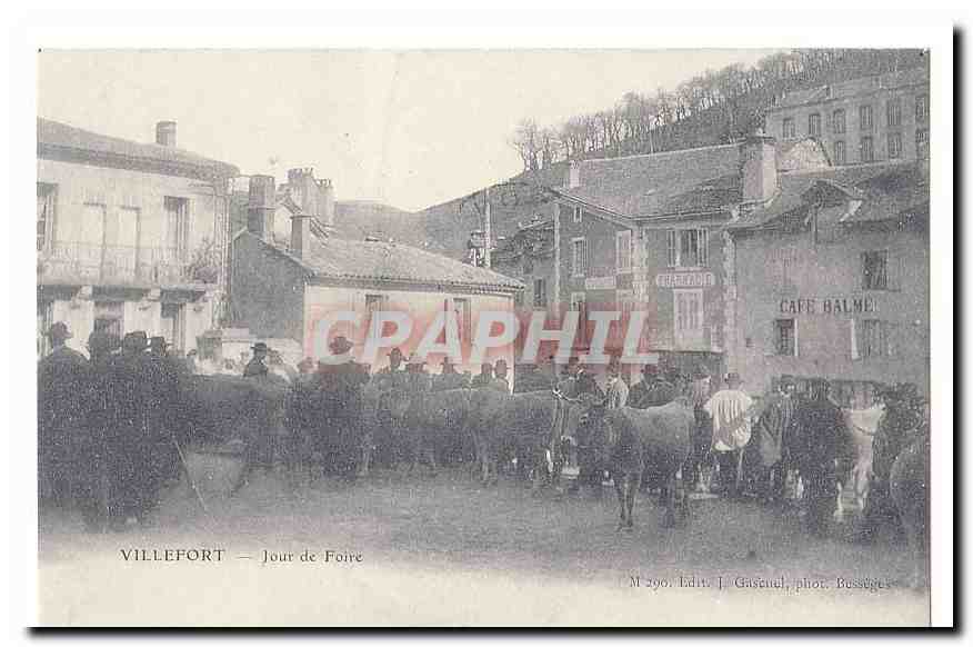 REPRODUCTION Villefort CPA Jour de foire (vaches)