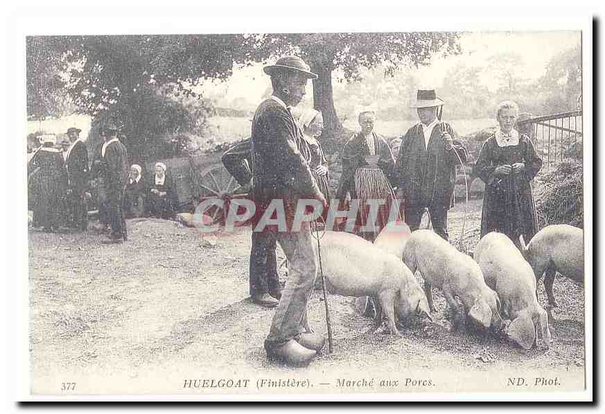 REPRODUCTION Huelgoat (Finistere) CPA Marche aux porcs