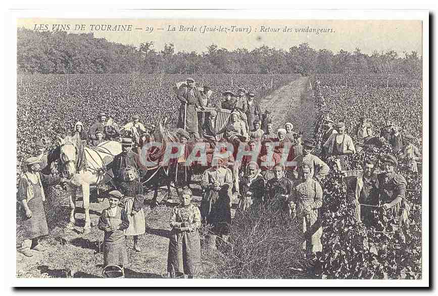 REPRODUCTION Les vins de Touraine CPA La Borde (Joue lez Tours) Retour des vendangeurs