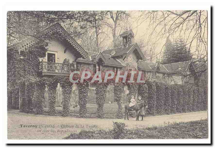Taverny CPA Chateau de la Tuvolle Un coin des dependances (ane donkey)