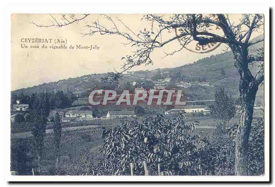 Ceyzeriat CPA Un coin du vignoble de Mont July