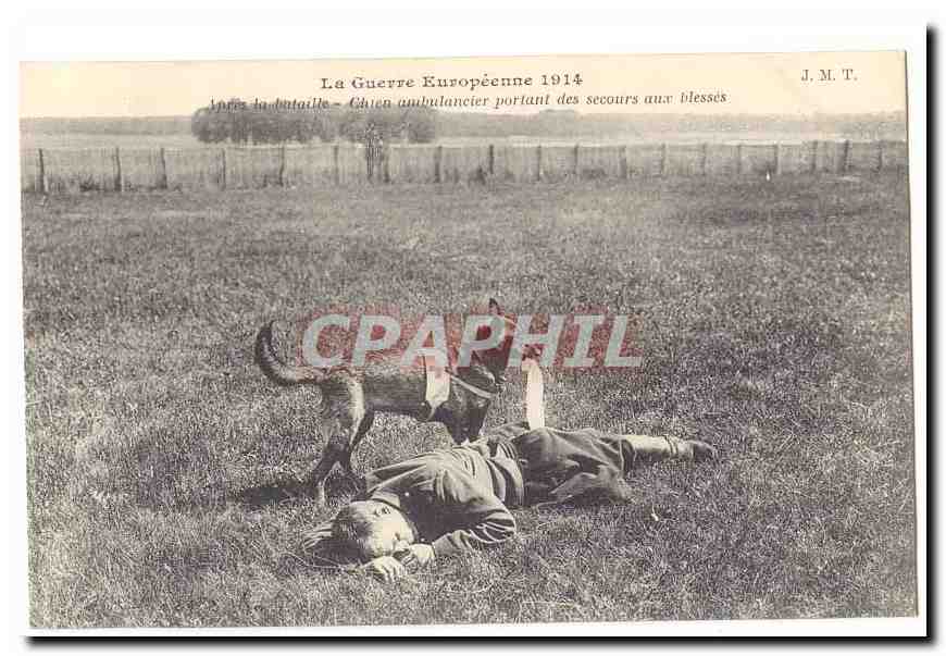 Chien ambulancier portant des secours aux blessés — La Guerre Européenne 1914 — J.M.T.