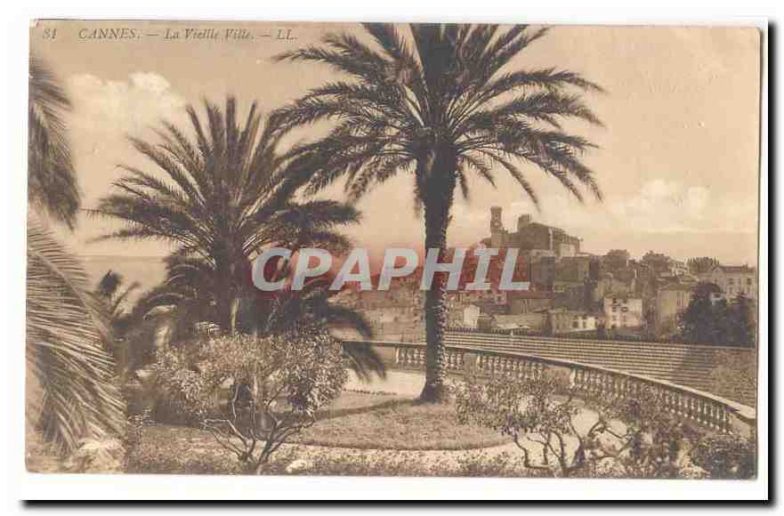 Cannes CPA La vieille ville (palmiers)