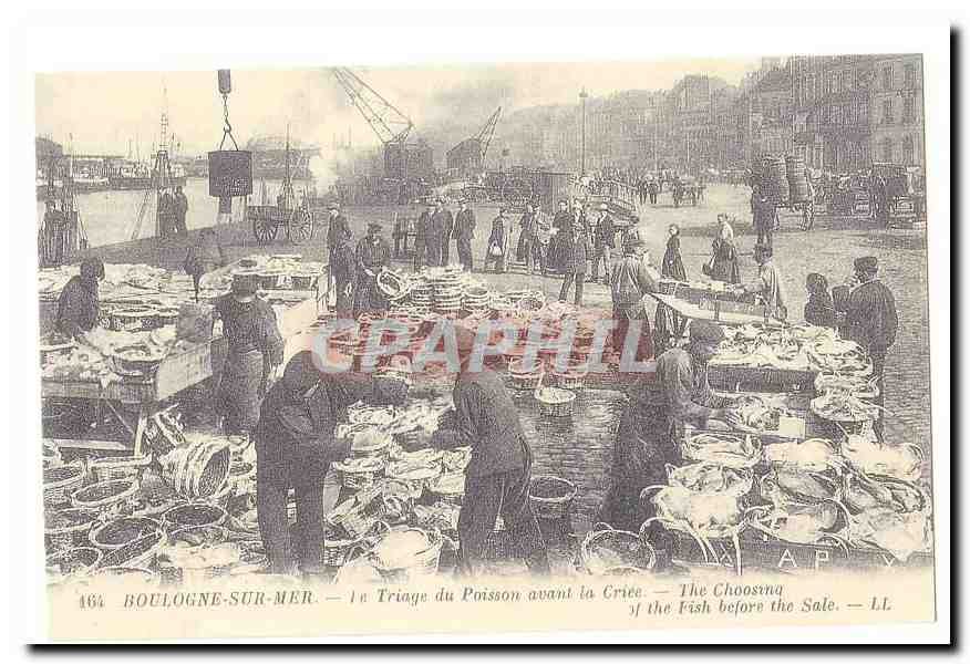 Boulogne sur Mer CPA Le triage du poisson avant la criee (reproduction)
