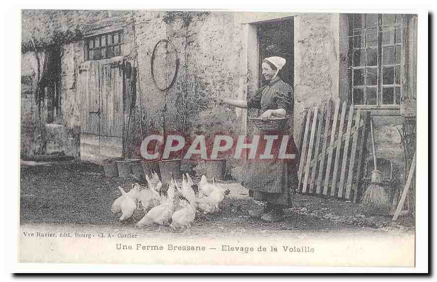 Une ferme bressane CPA Elevage de la volaille (reproduction)