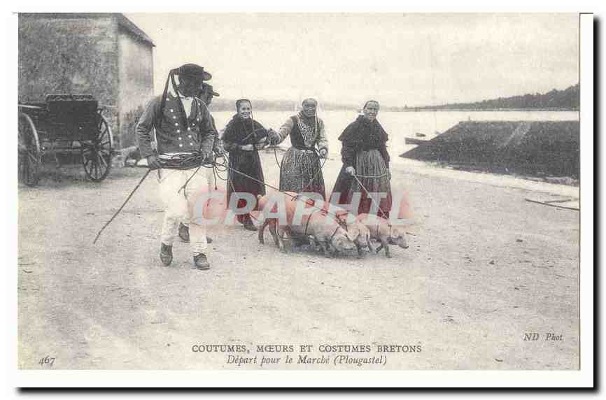 Coutumes moeurs et costumes bretons CPA Depart pour le amrche (Plougastel) (moutons) (reproduction)