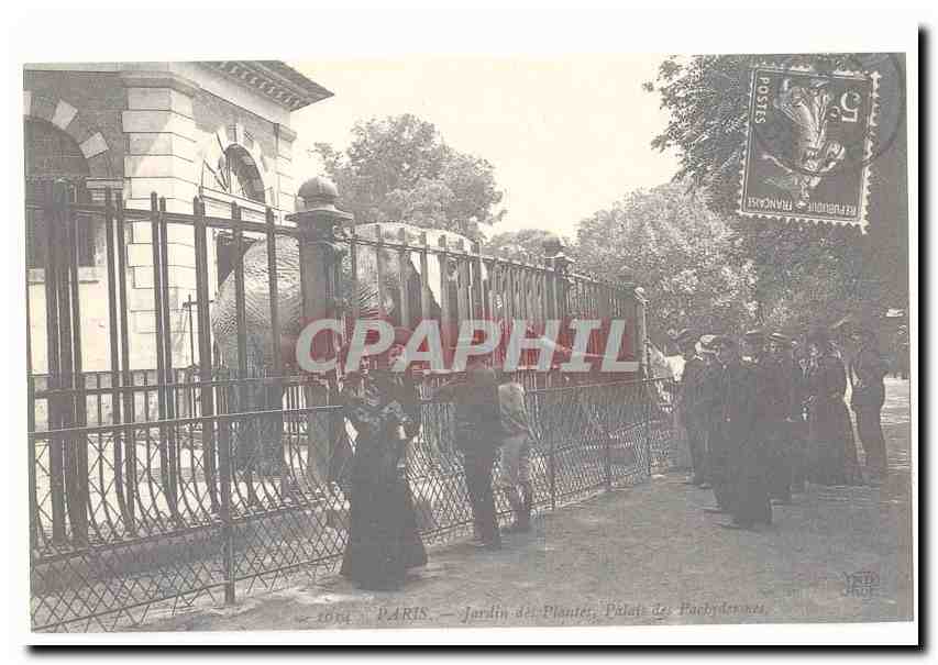 Paris CPA Jardin des plantes Palais des pachydermes (elephants) (reproduction)