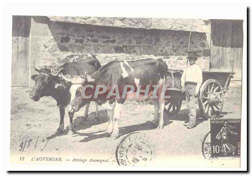 L'auvergne CPA Attelage auvergnat (reproduction)