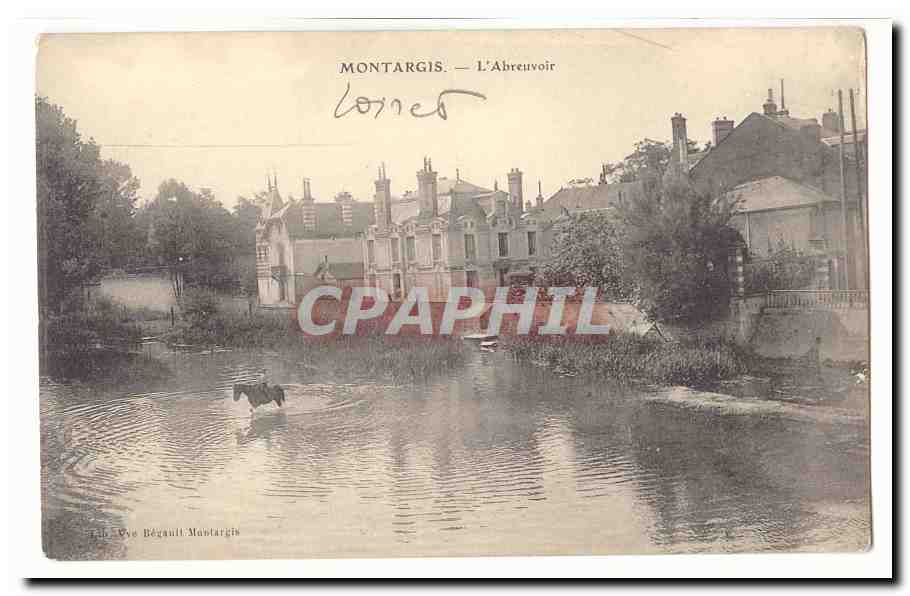 Montargis CPA L'abreuvoir (cheval)