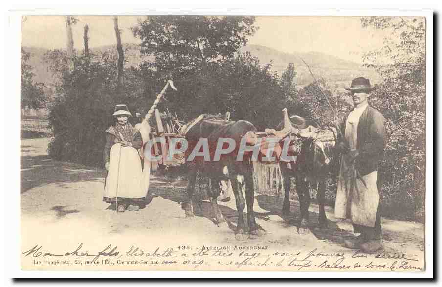 CPA Attelage auvergnat TOP