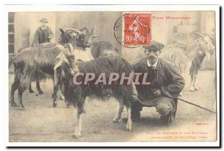 Types meridionaux CPA Le chevrier et son troupeau TOP (chevre goat)