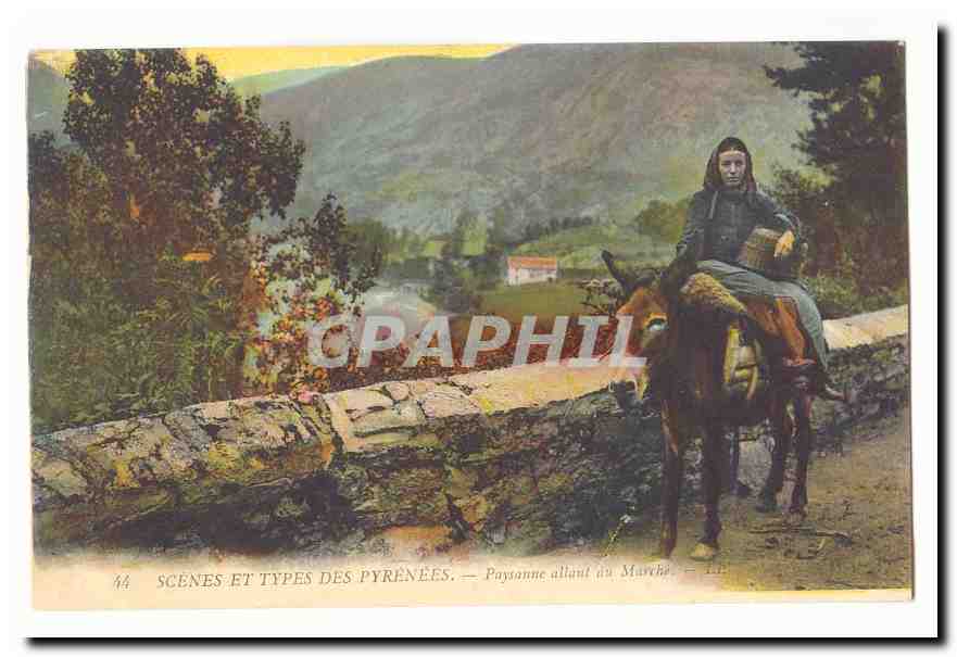 Scenes et Types des Pyrenees CPA Paysanne allant au marche TOP (ane donkey)