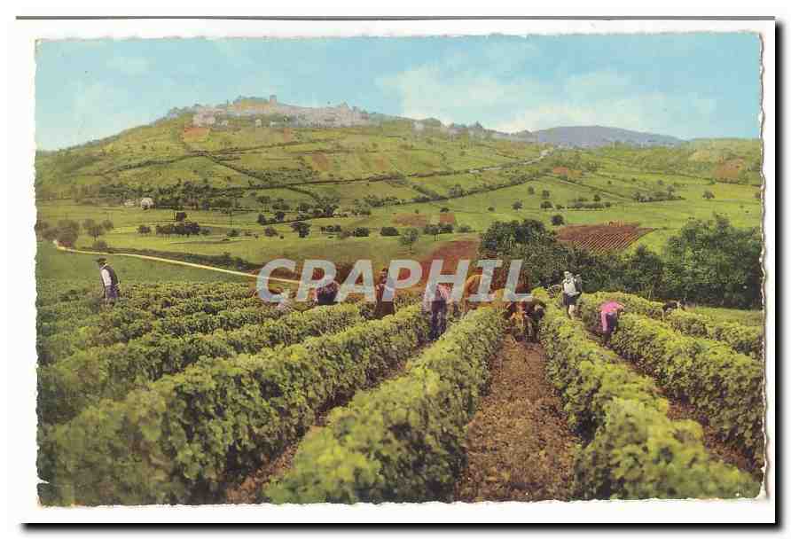 Archambault CPM Vendanges Au clos La perriere Archambault Fontenay St SAtur