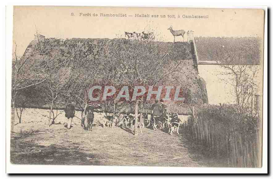 Hallali sur un toit, à Gambaiseuil — Forêt de Rambouillet