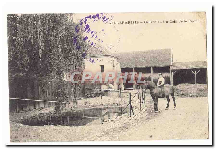 Villeparisis CPA Grosbois Un coin de la ferme (cheval percheron)