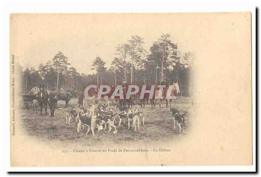 Caza de zorro en la Selva de Fontainebleau — En Falta — Thibault, Dijon, Fontainebleau-Nodin - Gisèle Michel