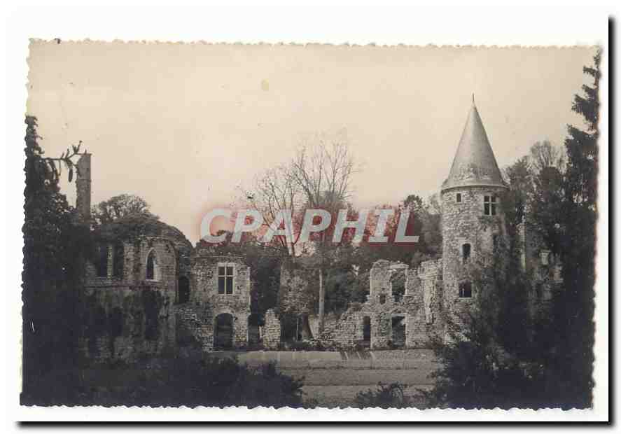 Chaumes en Brie CPA Les ruines de Vivier (Charles VI)
