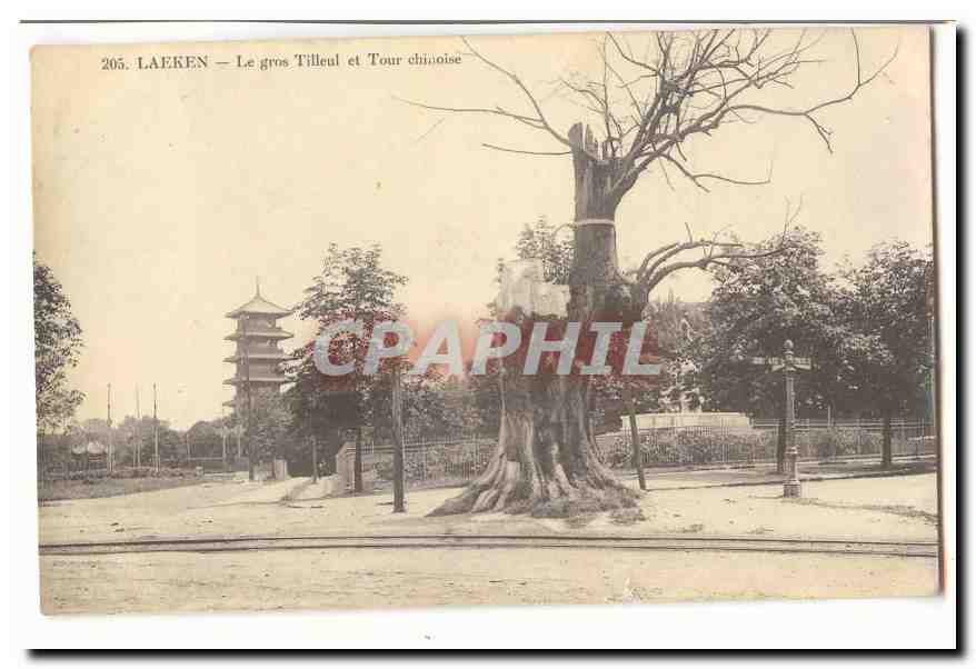 Laerken — Le gros Tilleul et Tour chinoise