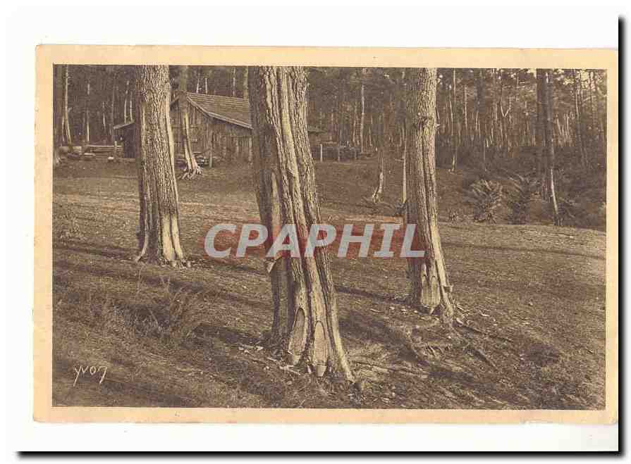 Les Landes de Gascogne CPA Les supplicies