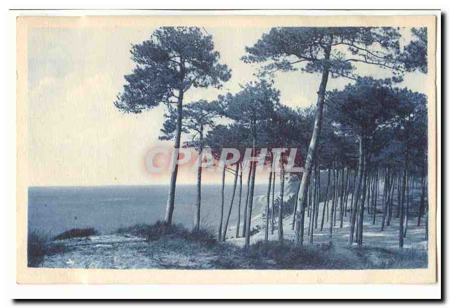 Le Moulleau Arcachon CPA Bords du bassin aux Abatilles