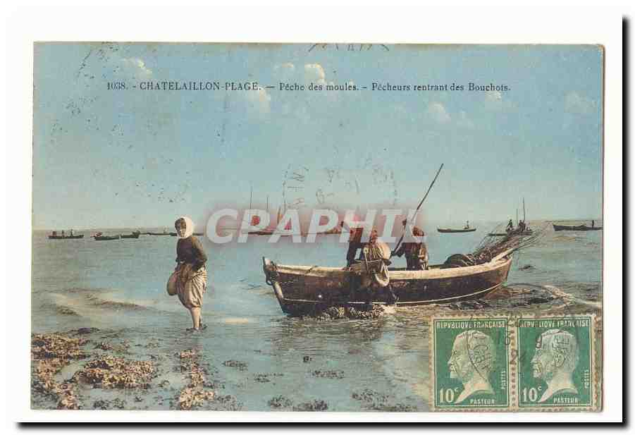 Chatelaillon CPA Peche des moules Pecheurs rentrant des Bouchots TOP