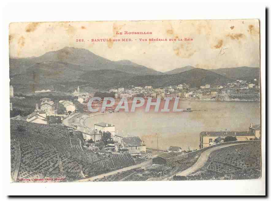 Banyuls sur Mer CPA Vue generale sur le Bair