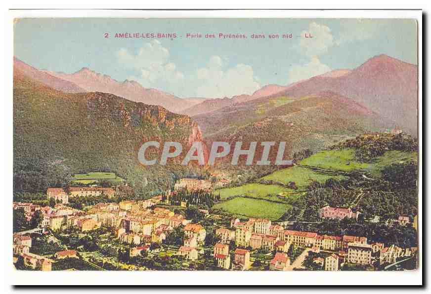 Amelie les Bains CPA Perle des Pyrenees dans son nid
