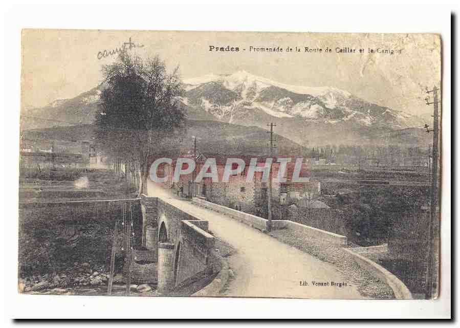 Prades CPA Promenade de la route de Caillar et le Canigou