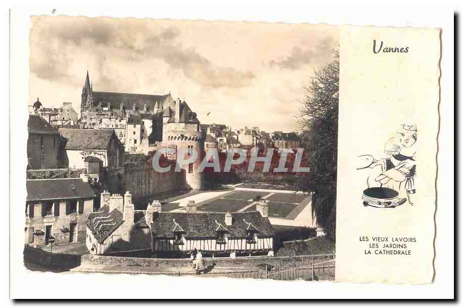 Vannes CPM Les vieux lavoirs les jardins la cathedrale