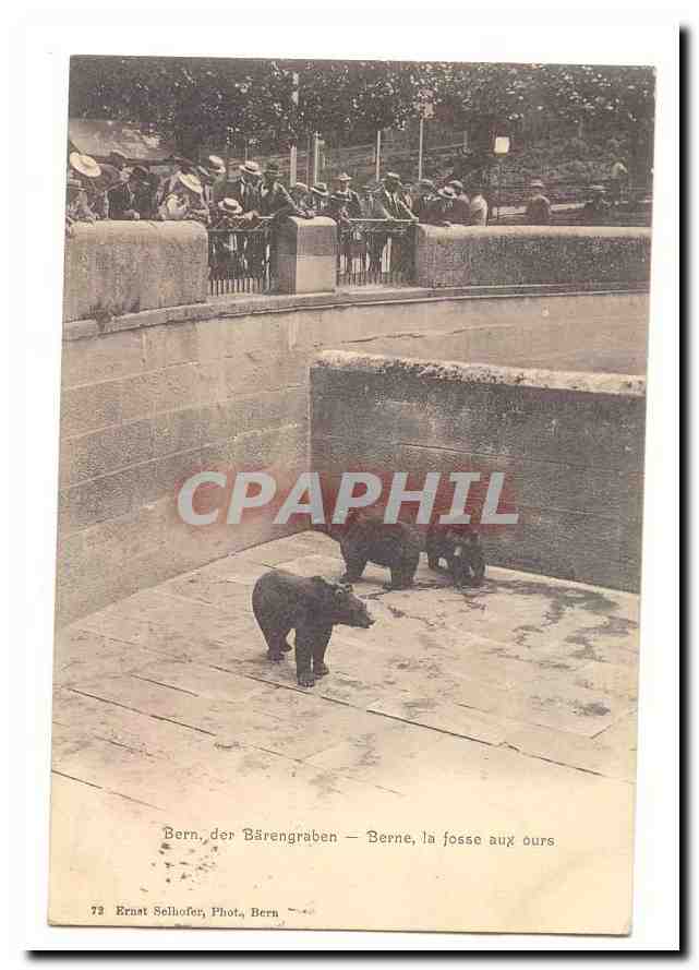 Suisse Bern der Barengraben CPA Berne la fosse aux ours (bear)