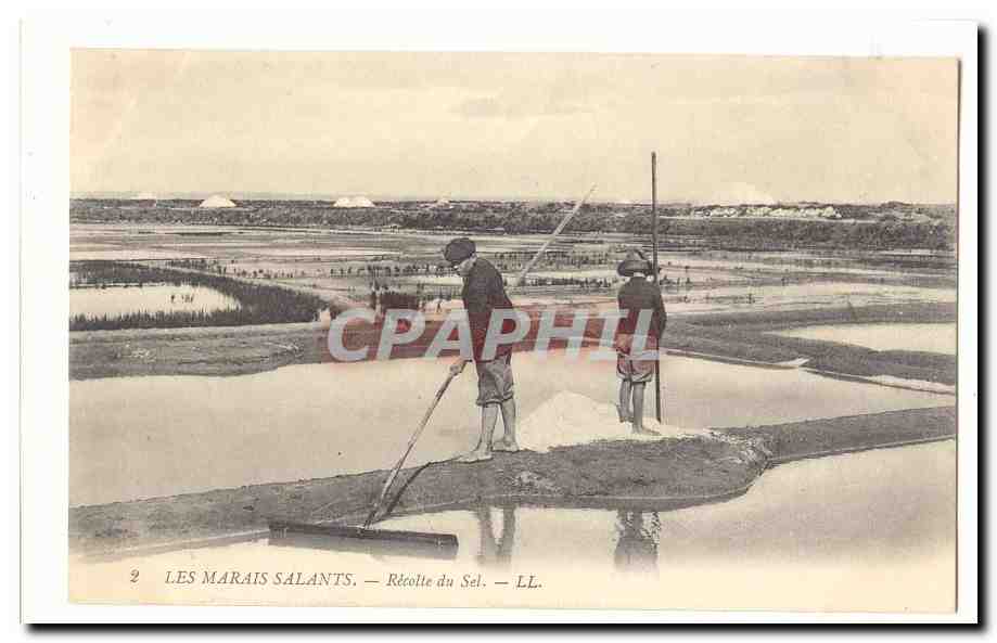 Les marais salants CPA La recolte de sel