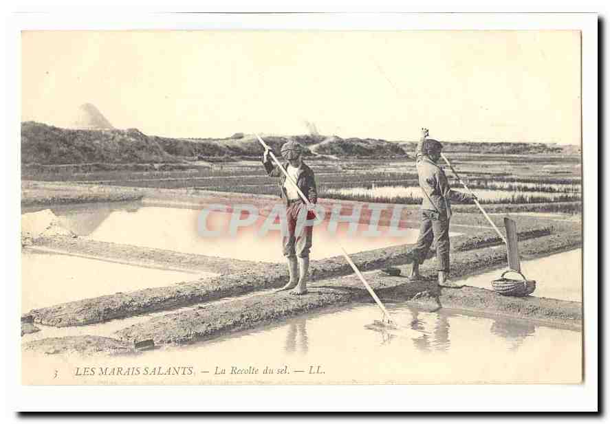 Les marais salants CPA La recolte de sel