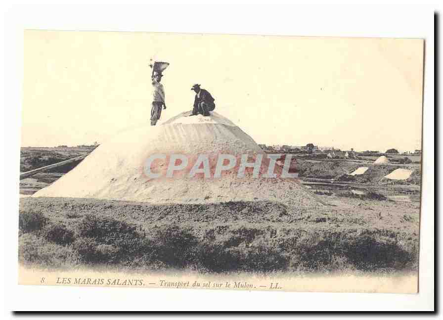 Les Marais Salants — Transport du sel sur le Mullen — LL.