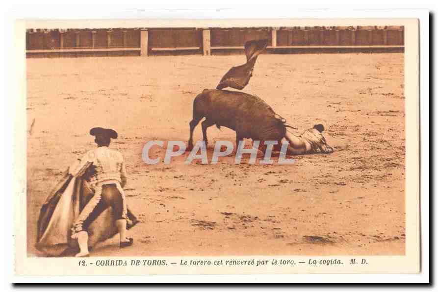 Corrida de Toros CPA Le torero est renversa par terre La cogida