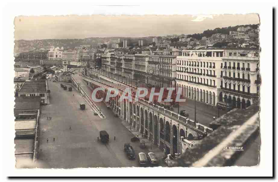 Algerie Alger CPA Vue panoramique et perspective du boulevard de la Republique