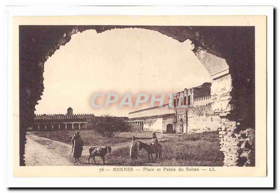 Maroc Meknes CPA Place et palais du sultan (ane donkey)