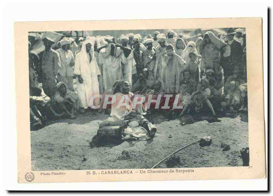 Maroc Casablanca CPA Un charmeur de serpents