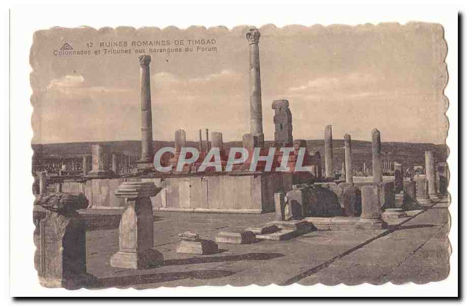 Algerie CPA Ruines romaines de Timgad Colonnades et tribunes aux harangues du forum