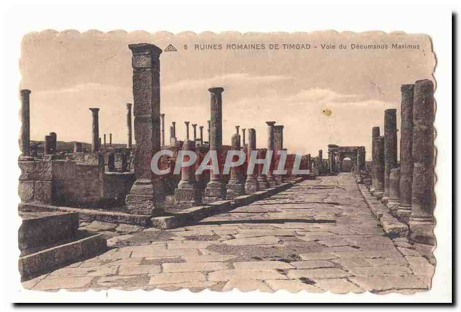Algerie CPA Ruines romaines de Timgad Voie du decumanus Maximus