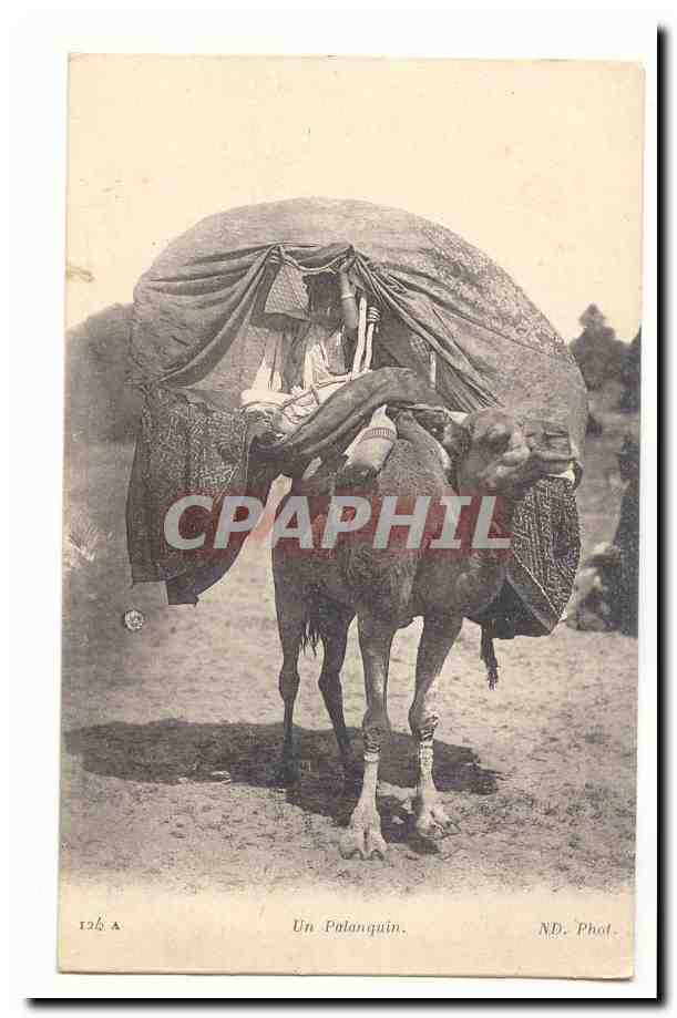 Un Palanquin — sur un chameau — ND. Phot. — n° 126.A