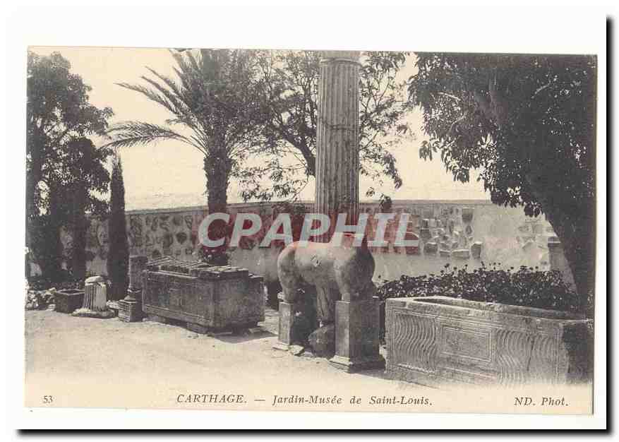 Tunisie Carthage CPA jardin Musee de Saint Louis