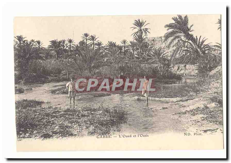 Tunisie Gabes CPA L'oued et l'oasis