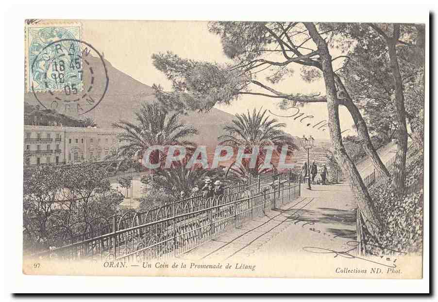 Algerie Oran CPA Un coin de la promenade de Letang