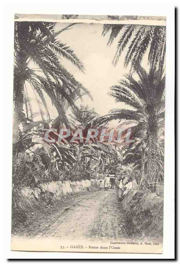 Tunisie Gabes CPA Route dans l'oasis (palmiers)