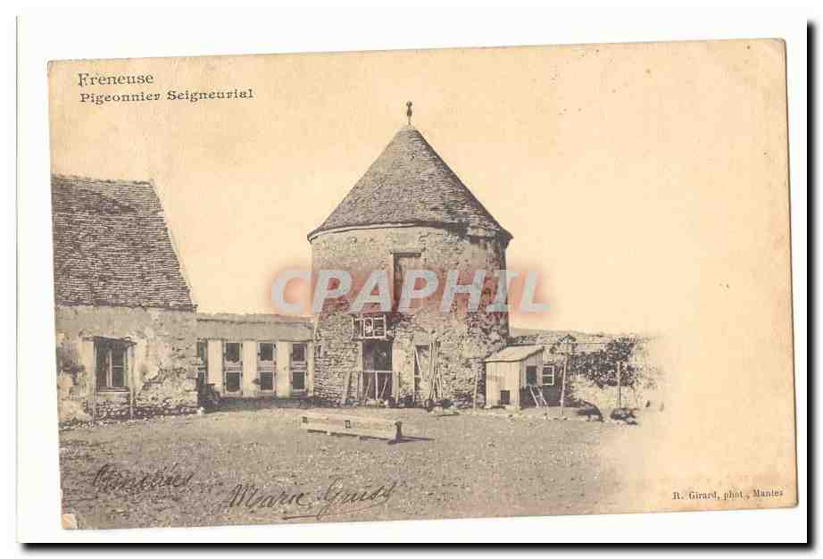 Freneuse CPA Pigeonnier seigneurial (pigeon)
