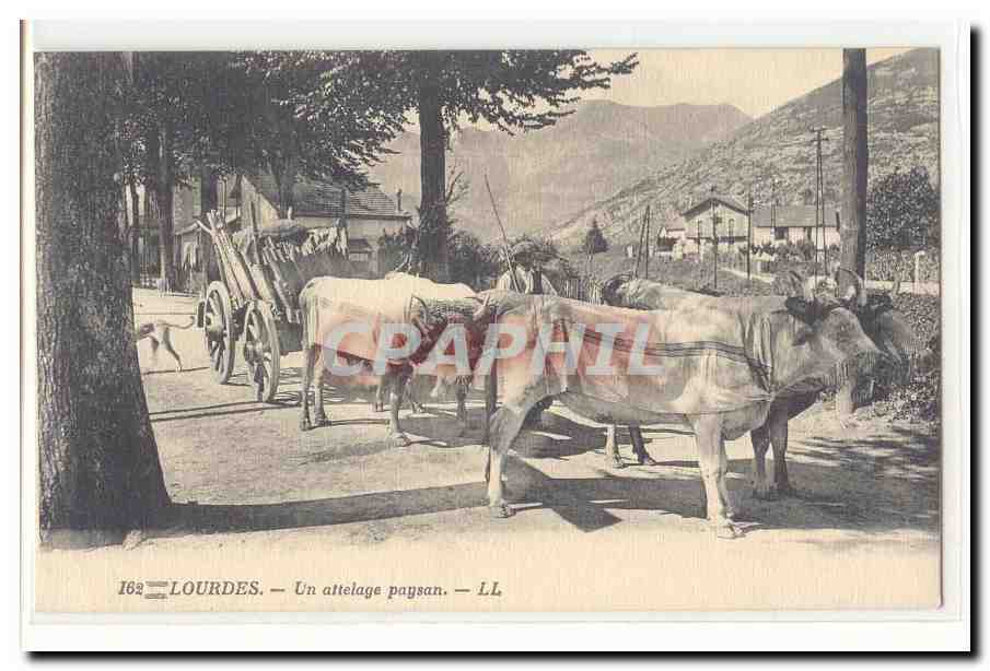 Lourdes CPA Un attelage paysan (boeufs) TOP