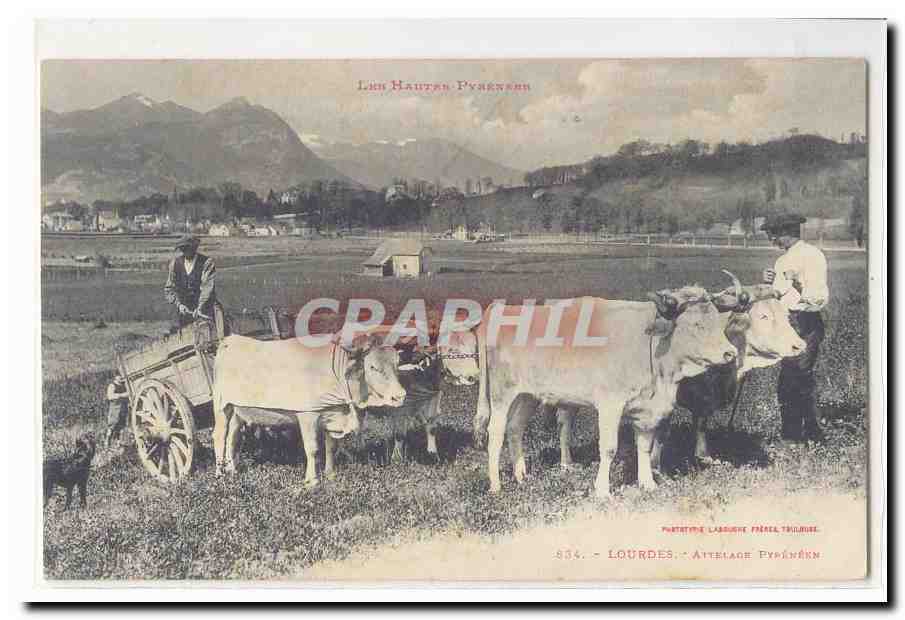Lourdes CPA attelage pyreneen (boeufs) TOP