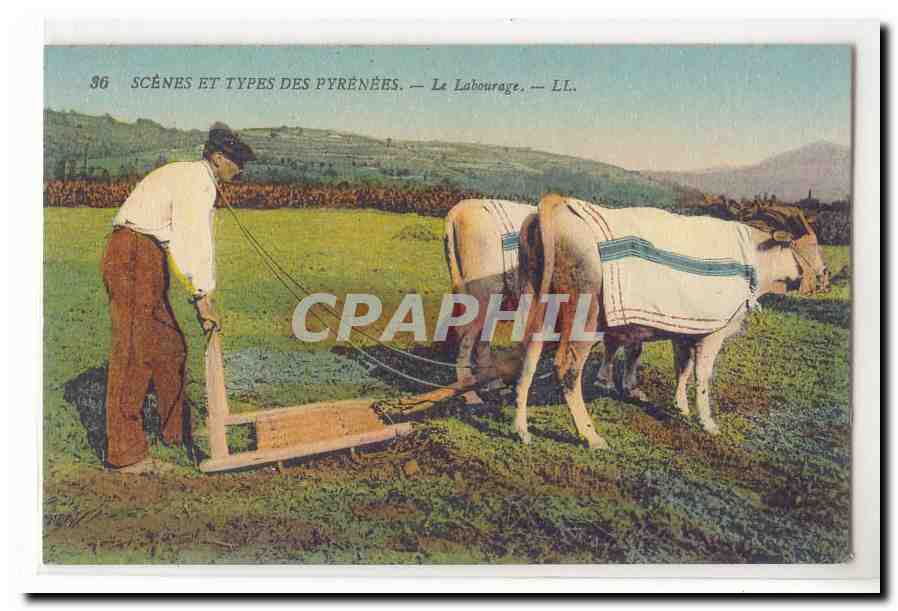 Scenes et types des Pyrenees CPA Le labourage (boeufs) TOP