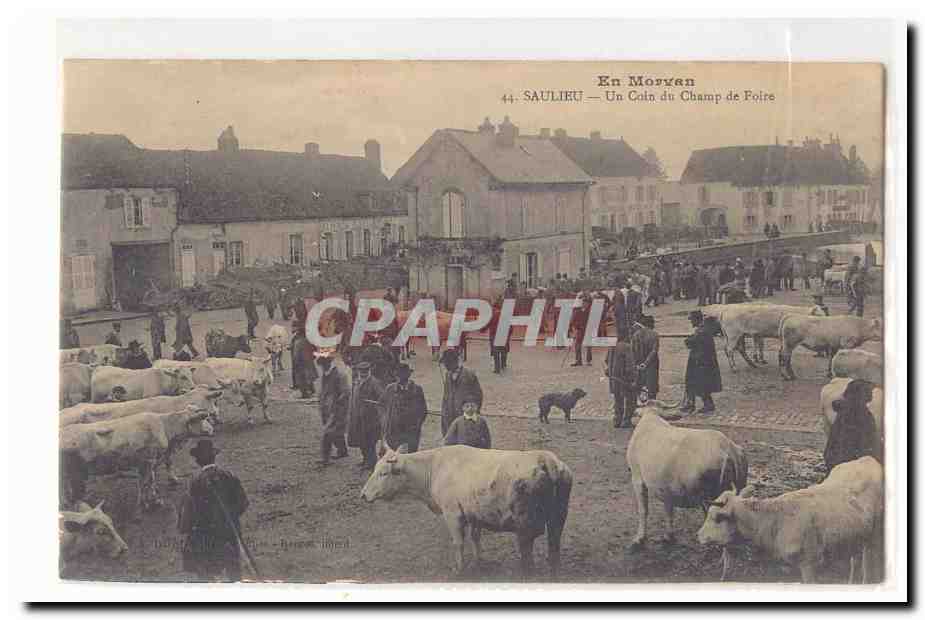 En Morvan Saulieu CPA Un coin du champ de foire (marche aux bestiaux vaches boeufs)