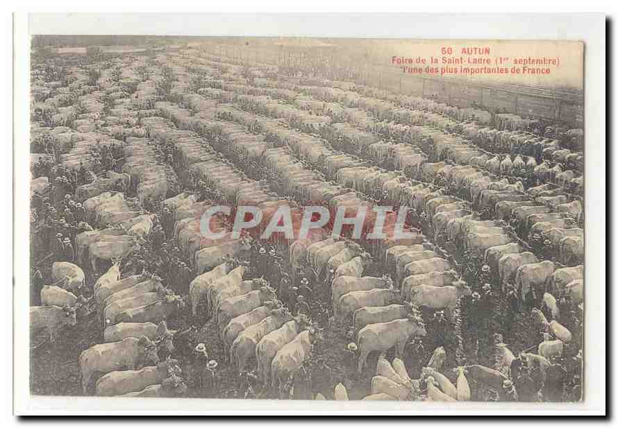 Autun CPA Foire de la Saint LAdre (1er septembre) l'une des plus importantes de France (bovins)